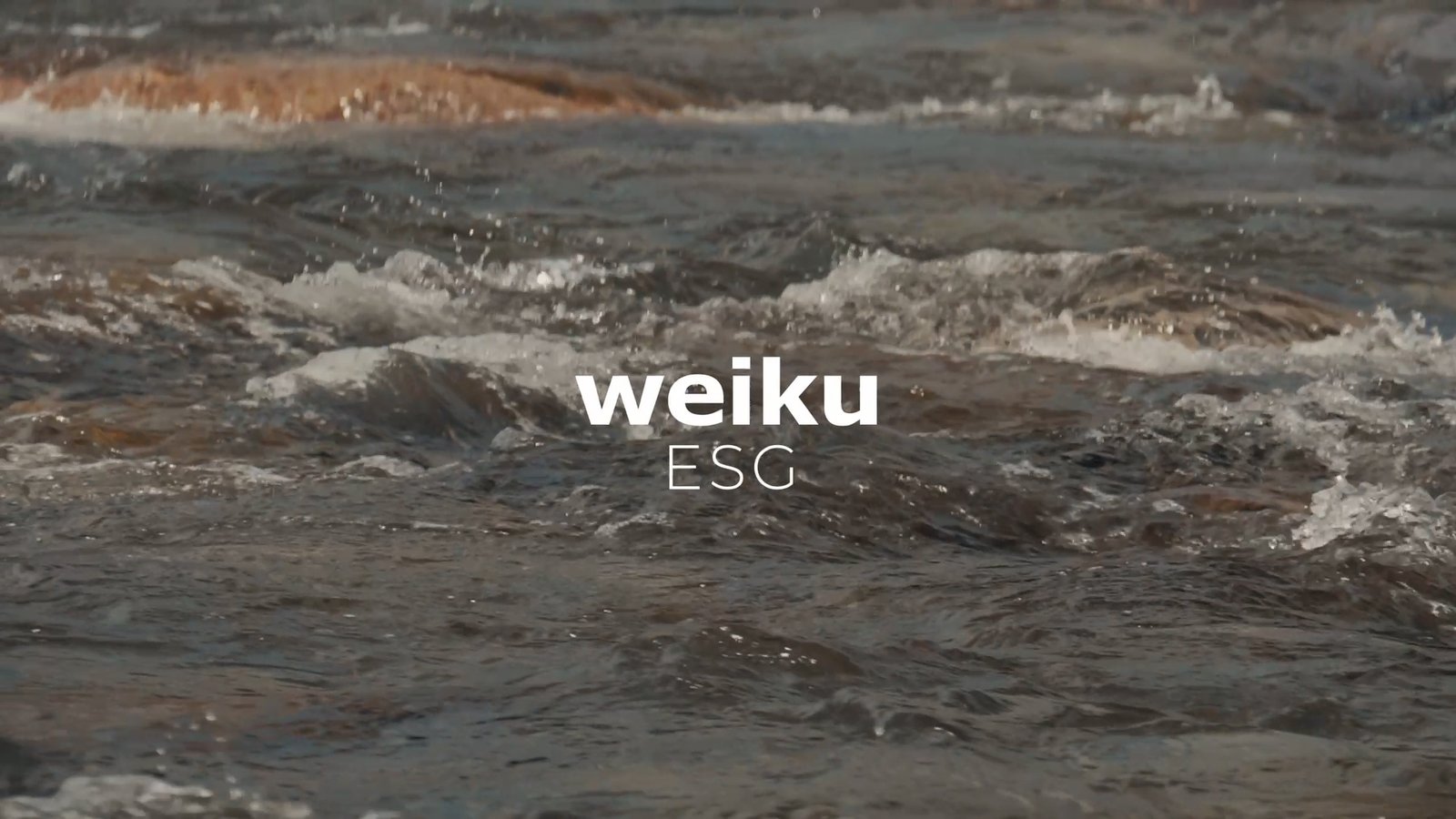 Weiku ESG, compromisso com a sustentabilidade e inovação